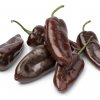 Paprika Sweet Chocolate - Capsicum annuum - semená paprík - 7 ks