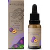 REGINA Slivkový olej 20 ml
