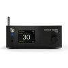 GOLD NOTE DS-10 Plus Black