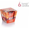 Bartek Candles Vonná sviečka Hot tea 115g