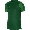 Nike Academy Jr DH8369 302