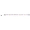 Diversa Osvetlenie LED EXPERT - Color Led expert: led expert 150