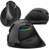 Bezdrôtová vertikálna myš Delux M618Mini BT+2,4G RGB 4000DPI (Iron Gray)