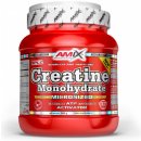 Amix Creatine Monohydrate 1000 g