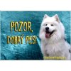 Pozorpes.sk, výstražná tabuľka (Samojed)