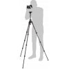 Manfrotto Befree MKBFRTC4GT-BH