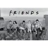 ABYstyle Plagát Friends - Skyscraper