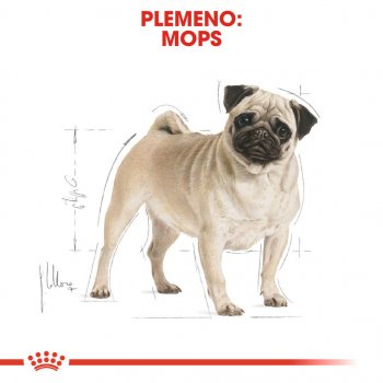 Royal Canin Pug Adult 3 kg od 29,99 € - Heureka.sk