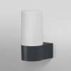 LEDVANCE SMART+ WiFi Outdoor Pipe Wall, RGBW - 4058075564183