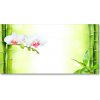 Foto obraz akrylový do obývačky Orchidea a bambus 100x50 cm