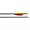 Ek-Archery šíp laminátový 28