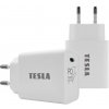 TESLA Power Charger T100 8595689802288