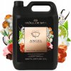 Möller Spa Letná kvapalina do ostrekovačov s vôňou PARFUMU ANGEL 5 l