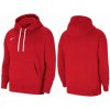 Nike Park 20 M sweatshirt CW6887-657 64512