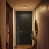 Stropné svietidlo Philips Hue Enrave LED 26,1 cm biele - 4115831P6