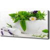 Foto obraz na plátne Mažiar a bylinky 100x50 cm