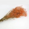 Stabilizované kvety Gypsophila - oranžová