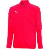 Puma cup sideline t f01 656043 001