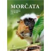 Morčata - Praktická příručka s tipy pro chov a péči