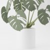Monstera Magnetica – 3D Tlačená Dekorácia & Podložky pod Poháre Farba listov: zelená, Vyber typ kvetináča: Classic, Vyber farbu kvetináča: biela