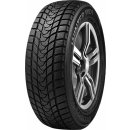 Delinte WD1 165/70 R14 81T