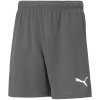 Detské krátke nohavice TeamRise Jr 704943 13 - Puma 164CM