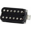 Kramer Kramer Eruption Black