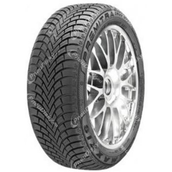 Maxxis Premitra Snow WP6 195/65 R15 91T