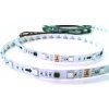 Ledco Digitálny LED pás, adresovateľný, 2811IC, 5050 SMD, 7.2W/m, IP00, 12V DC, (bal. 5m)