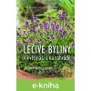 E-kniha Léčivé byliny v květináči a na zahradě - Heide Bergmann, Ulrike Armbruster