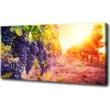Foto obraz na plátne Hrozny a víno 100x50 cm