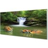 Nástenný panel vodopád tigre 100x50 cm