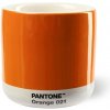 PANTONE Latte termo hrnček - Orange 021