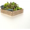 Grow Cube vyvýšený záhon, dubové drevo, 467,4 x 120 x 56, bez povrchovej úpravy, NOVINKA
