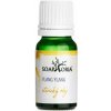 Ylang - ylang - silica