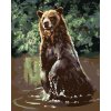 Diamondi Diamantové maľovanie - MEDVEĎ VO VODE (D. RUSTY RUST) Rámovanie: vypnuté plátno na rám, Rozmer: 40x50 cm
