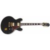 Epiphone B. B. King Lucille