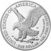 Eagle Stříbrná mince American 1 Oz