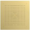 Hansgrohe Raindance E - Hlavová sprcha, 40x40 cm, EcoSmart, leštený vzhľad zlata 26253990