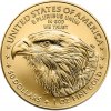 U.S. Mint zlatá minca American Eagle 2024 1 oz