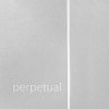 Pirastro Perpetual Cadenza 31A111 - Struna E na housle