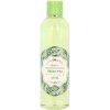Vivian Gray Beauty Green Tea sprchový gel 250 ml
