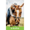 E-kniha Jezdec 2 - Viktorie Valendinova