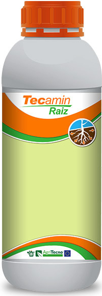 Agritecno Fertilizantes S.L Tecamin Raiz 1 l