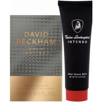 David Beckham Bold Instinct toaletná voda pánska 75 ml