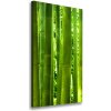Vertikálny moderný fotoobraz canvas na ráme Bambus 50x100 cm