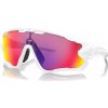 Oakley Jawbreaker OO 9290 55 31