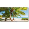 Foto obraz sklo tvrzené tropická pláž 100x50 cm