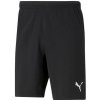 Puma TEAMRISE SHORT
