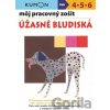 Môj pracovný zošit: Úžasné bludiská - Toshihiki Karakido, Yoshiko Murakami, Masako Watanabe, Meiko Miashita, Toshio Nishiuchi, Giovanni